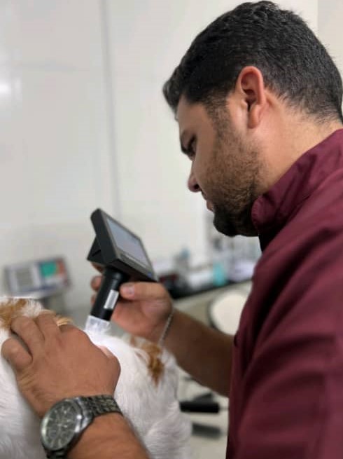 خدمات تصویربرداری