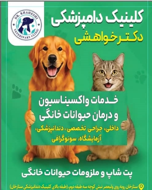 صدور شناسنامه