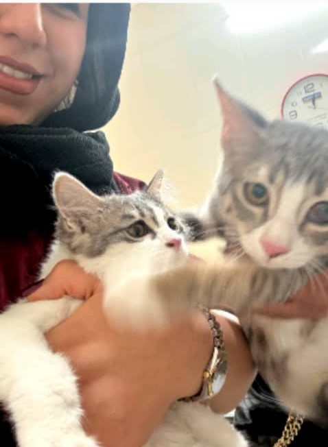 صدور شناسنامه